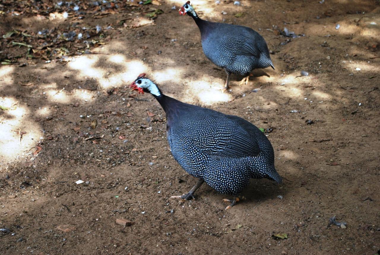Pousada Quinta Dos Doges Валенса Экстерьер фото